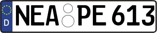 NEA-PE613