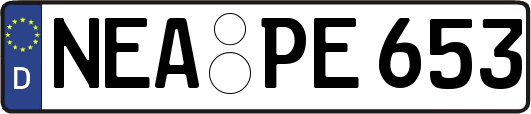 NEA-PE653