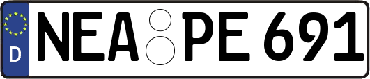 NEA-PE691