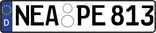 NEA-PE813