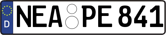 NEA-PE841