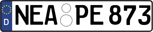 NEA-PE873