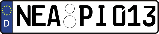 NEA-PI013