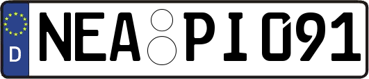 NEA-PI091