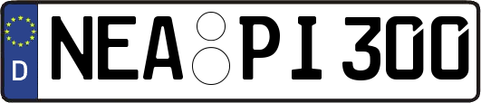 NEA-PI300