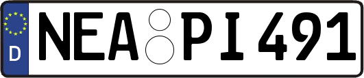 NEA-PI491