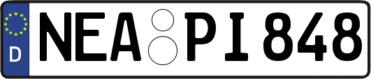 NEA-PI848