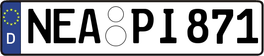 NEA-PI871