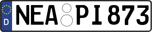 NEA-PI873