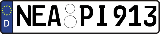 NEA-PI913