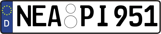 NEA-PI951