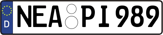 NEA-PI989