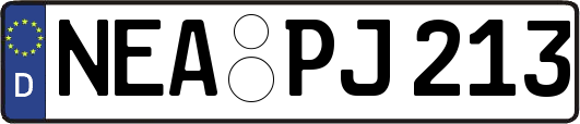 NEA-PJ213