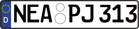 NEA-PJ313