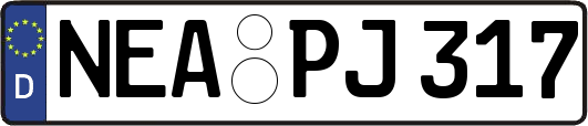 NEA-PJ317