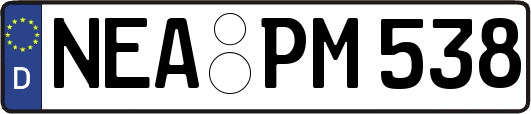 NEA-PM538