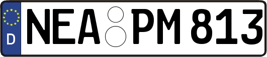 NEA-PM813