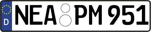 NEA-PM951