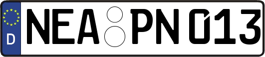 NEA-PN013