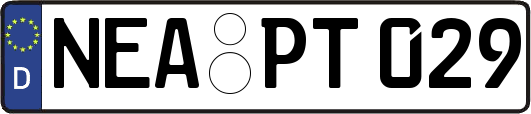 NEA-PT029