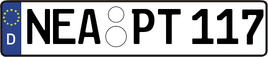 NEA-PT117