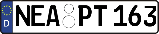NEA-PT163