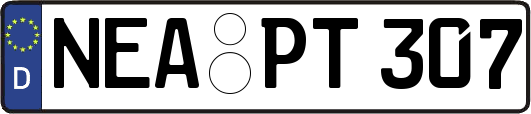 NEA-PT307