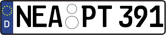 NEA-PT391