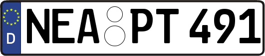 NEA-PT491