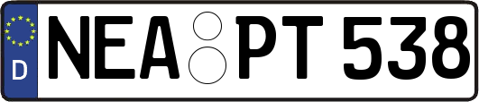 NEA-PT538
