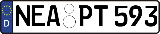 NEA-PT593