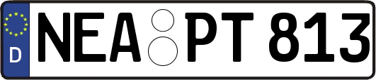 NEA-PT813