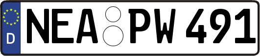 NEA-PW491