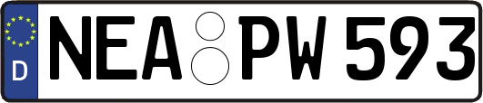 NEA-PW593
