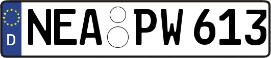 NEA-PW613