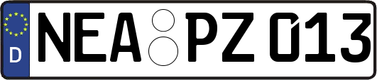 NEA-PZ013