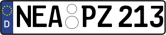 NEA-PZ213