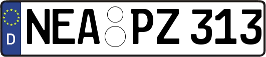 NEA-PZ313