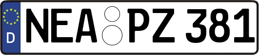 NEA-PZ381