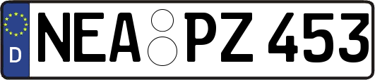 NEA-PZ453
