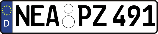 NEA-PZ491