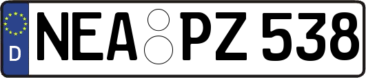 NEA-PZ538