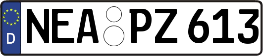 NEA-PZ613