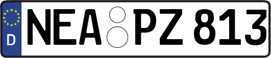 NEA-PZ813