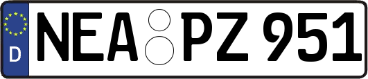 NEA-PZ951