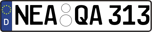 NEA-QA313