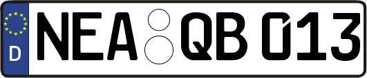 NEA-QB013