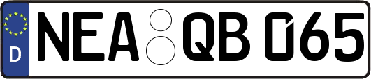 NEA-QB065