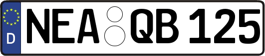 NEA-QB125