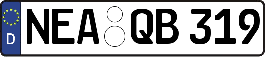NEA-QB319